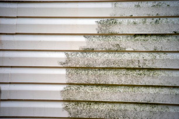 Best Aluminum Siding Installation  in Keshena, WI