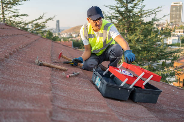 Best Fiber Cement Siding Installation  in Keshena, WI